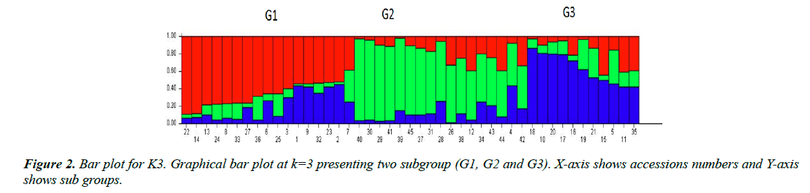 genetics-molecular-biology-accessions-numbers