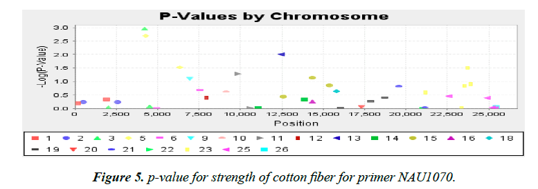 genetics-molecular-biology-cotton-fiber