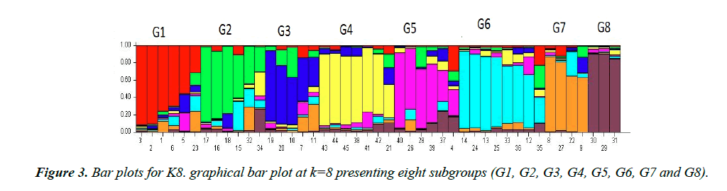 genetics-molecular-biology-subgroups