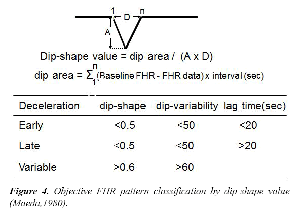 gynecology-obstetrics-hysteroscopic-classification