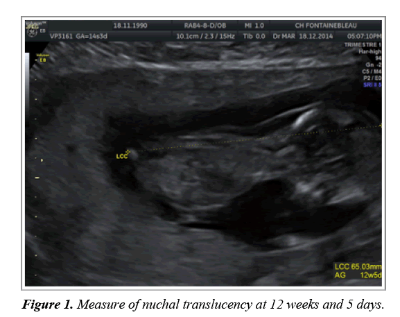 gynecology-obstetrics-hysteroscopic-translucency