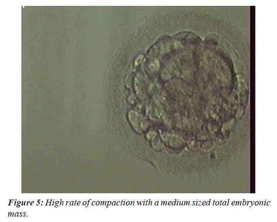 gynecology-reproductive-endocrinology-High-rate