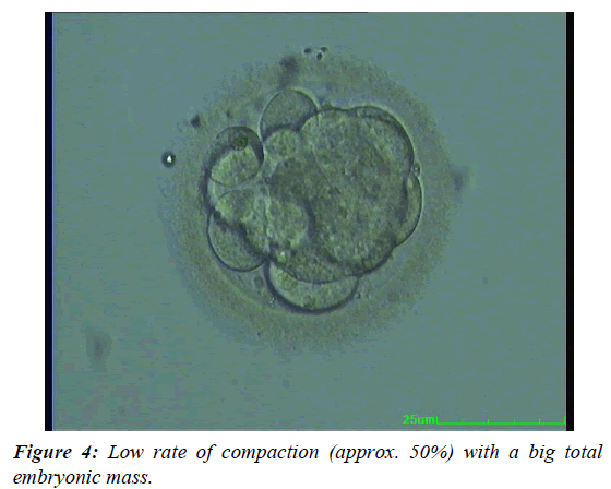 gynecology-reproductive-endocrinology-Low-rate