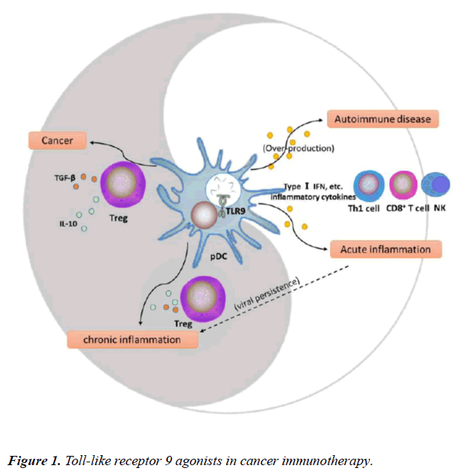 immune-system-disorders-Toll-like-receptor