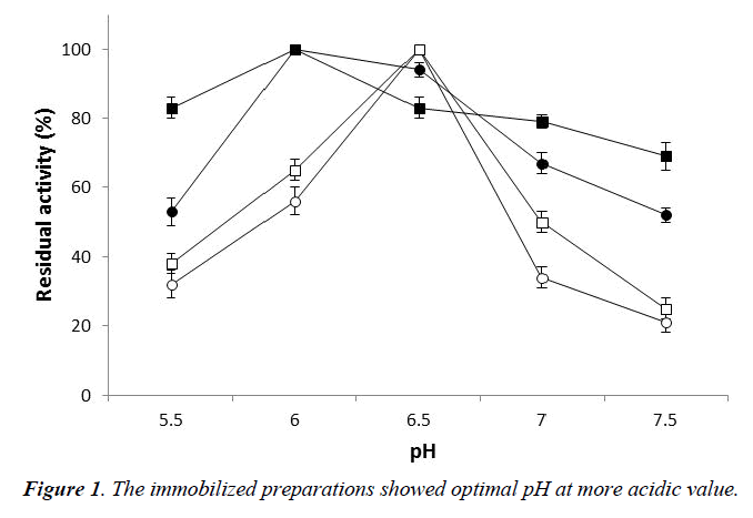 industrial-biotechnology-immobilized-preparations