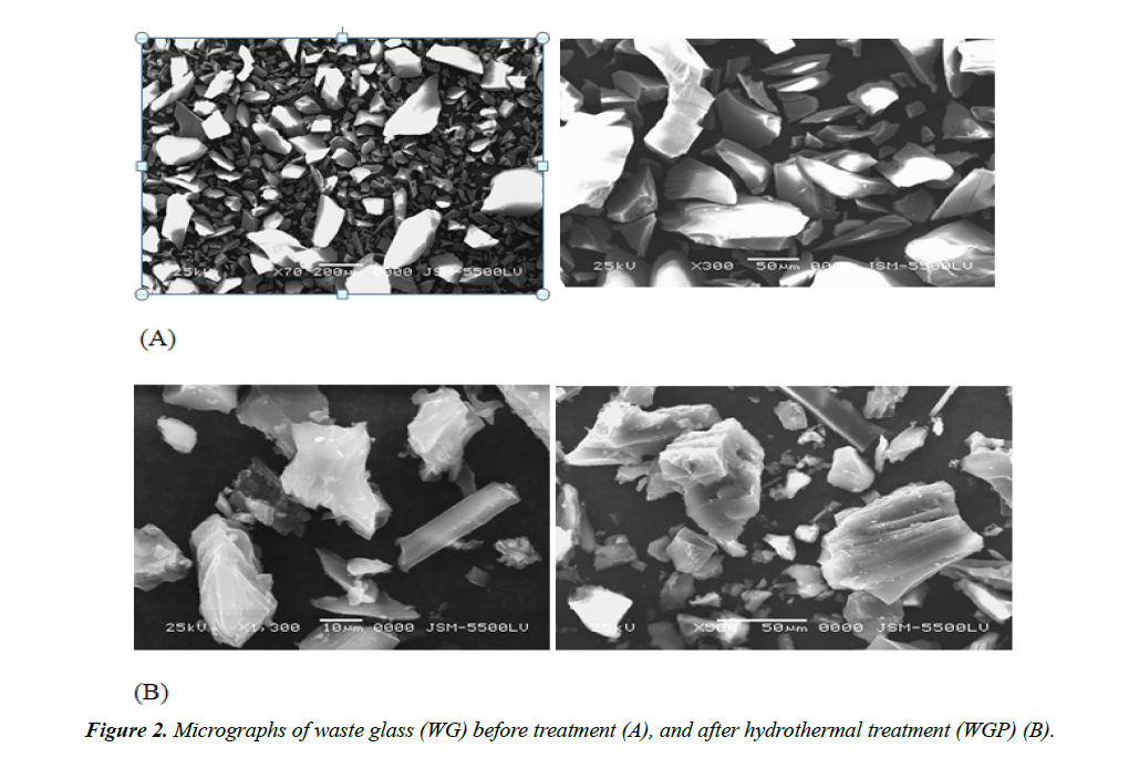 industrial-environmental-chemistry-hydrothermal-treatment