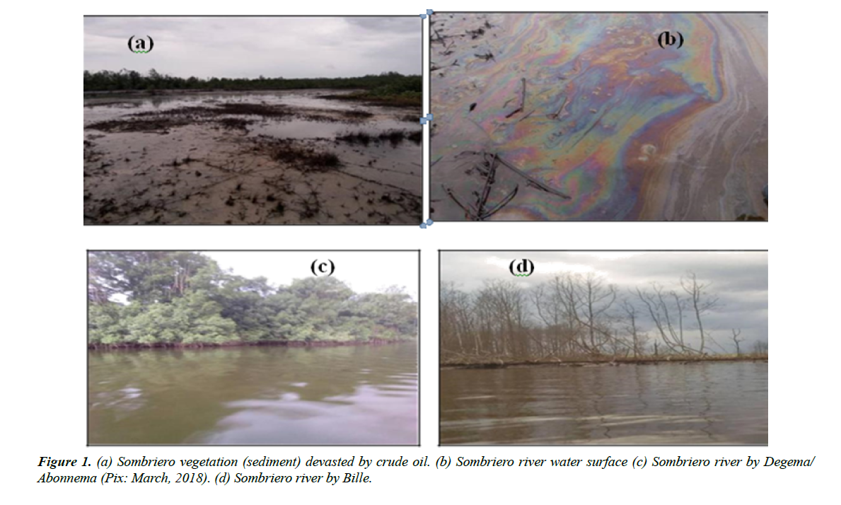 industrial-environmental-chemistry-sombriero-vegetation