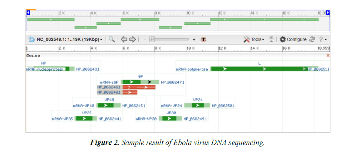 infectious-diseases-medical-microbiology-DNA-sequencing