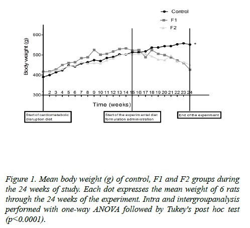 insights-nutrition-metabolism-body-weight