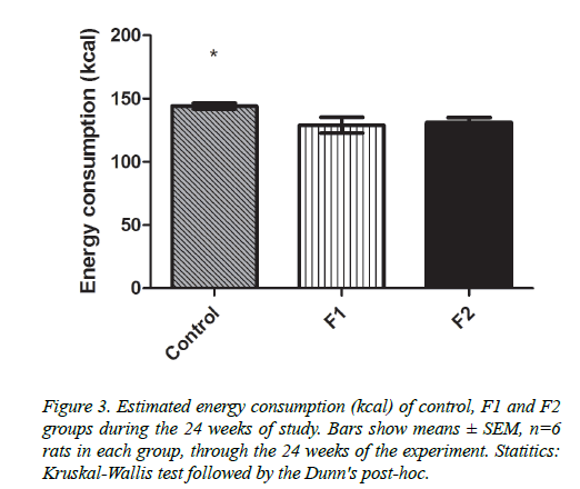 insights-nutrition-metabolism-energy-consumption