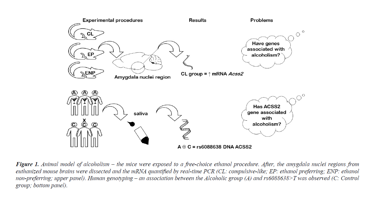 integrative-neuroscience-research-free-choice-ethanol