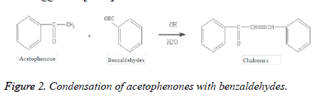 jbiopharm-acetophenones