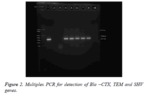 jbiopharm-detection