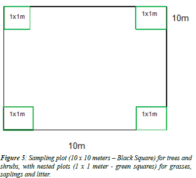 journal-agricultural-science-botany-meters