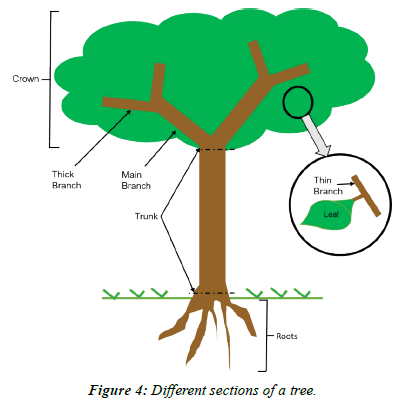 journal-agricultural-science-botany-sections