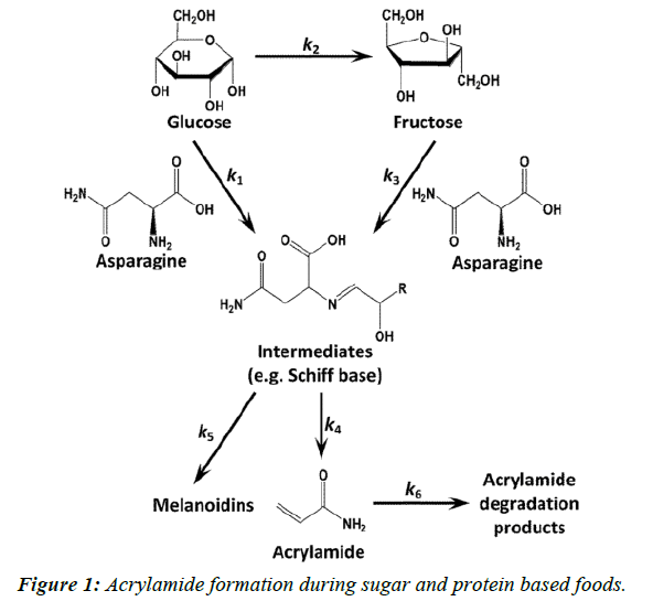 journal-biotechnology-phytochemistry-Acrylamide-formation