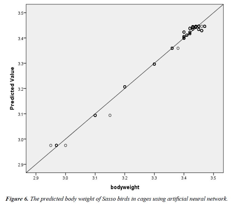 journal-genetics-molecular-weight-Sasso-birds