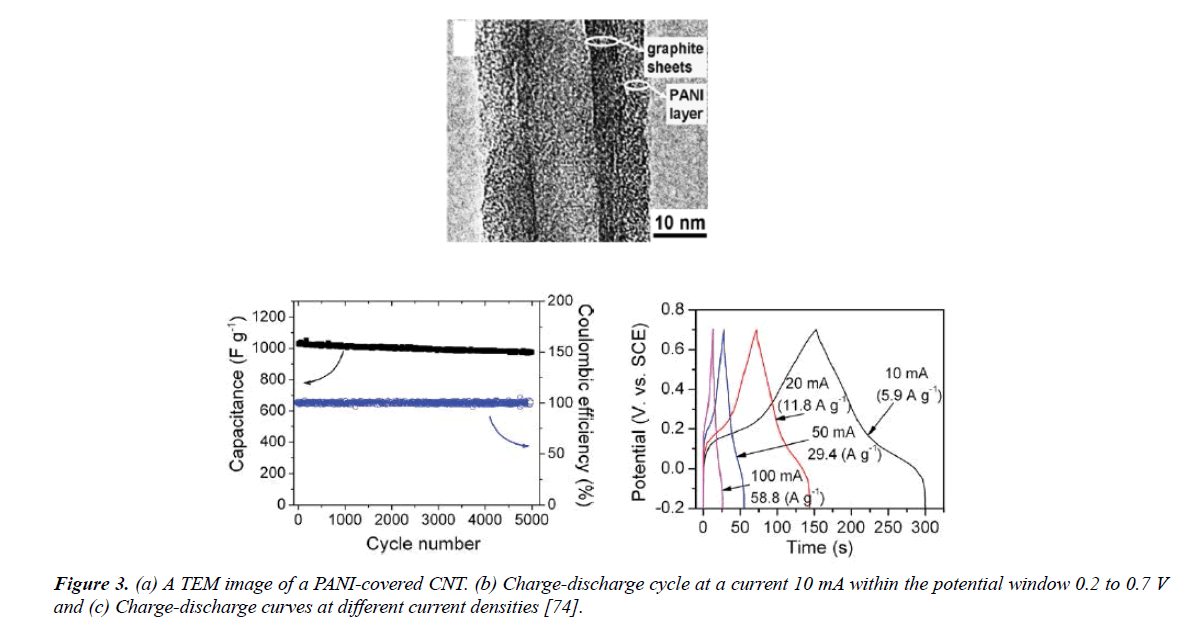 materials-science-PANI-covered