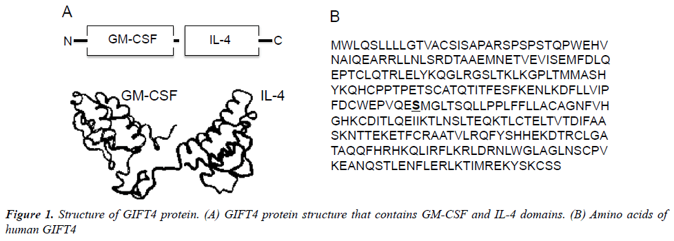 medical-oncology-therapeutics-Structure-GIFT4-protein