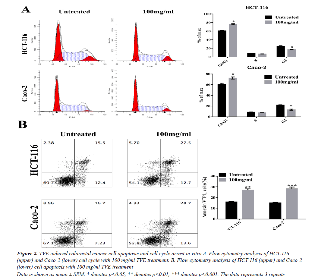 medical-oncology-therapeutics-TVE-induced-colorectal-cancer