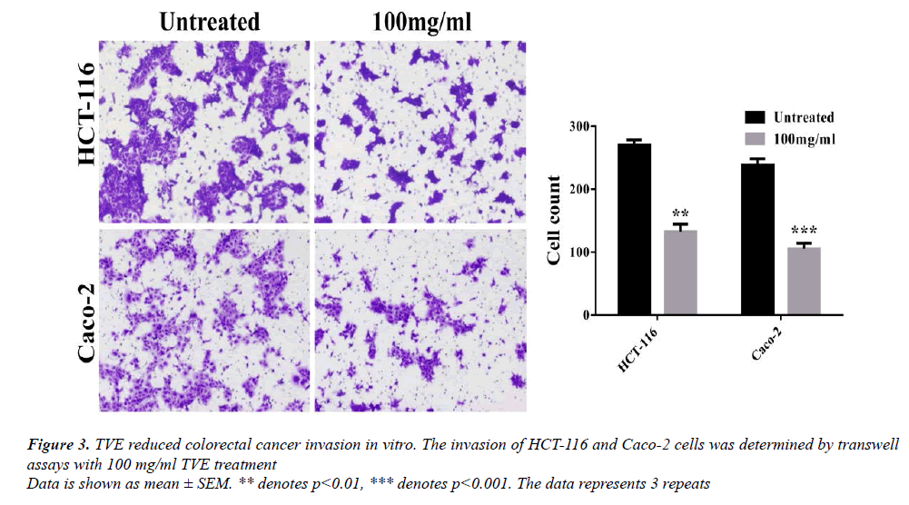 medical-oncology-therapeutics-TVE-reduced-colorectal-cancer