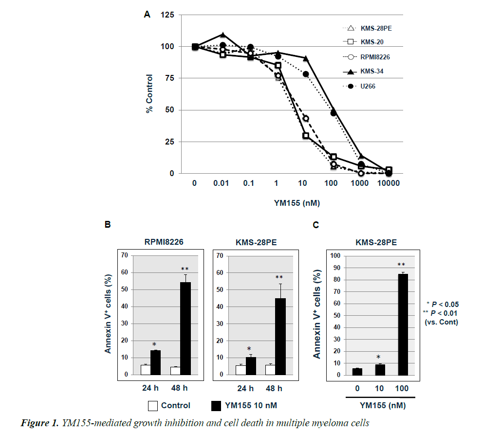 medical-oncology-therapeutics-growth-inhibition