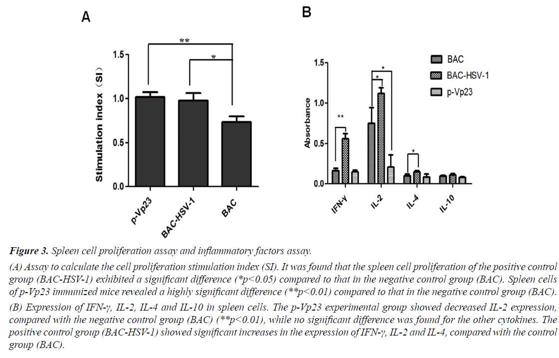 medical-oncology-therapeutics-mouse-serum