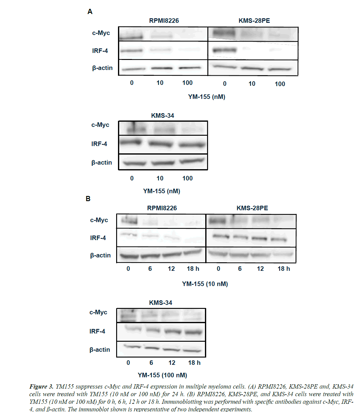 medical-oncology-therapeutics-multiple-myeloma