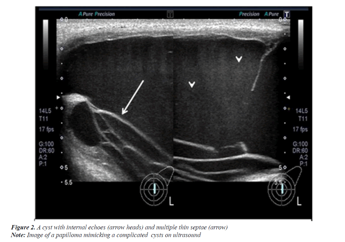 medical-oncology-therapeutics-multiple-thin