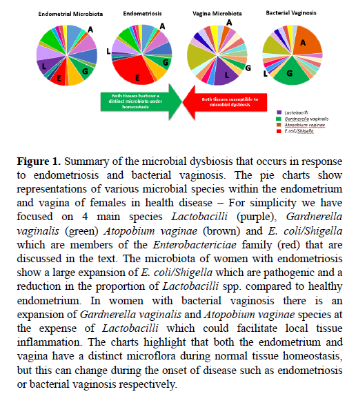 medical-research-Summary-microbial