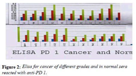 medical-research-different