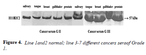 medical-research-normal