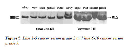 medical-research-serum