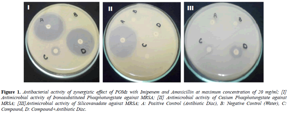 microbiology-Antibacterial-activity