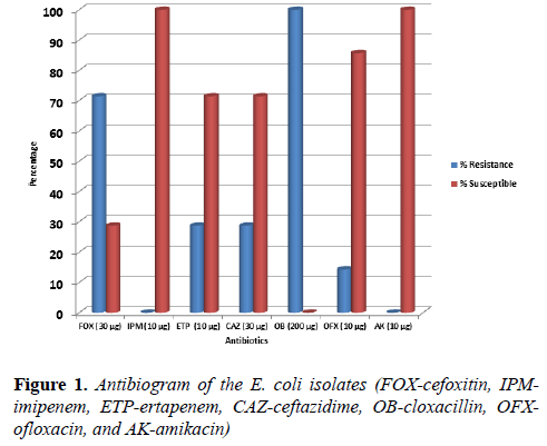 microbiology-Antibiogram