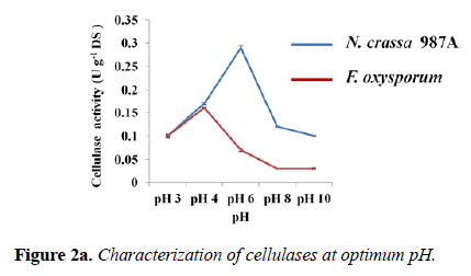 microbiology-Characterization