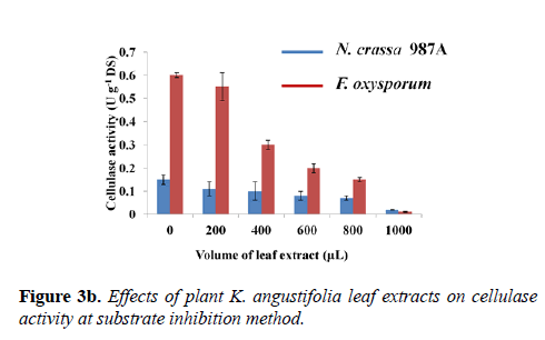 microbiology-Effects-plant