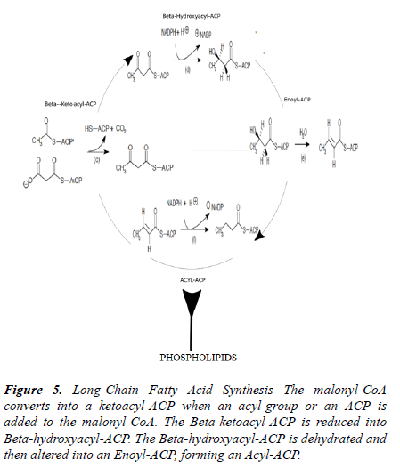 microbiology-current-research-acid