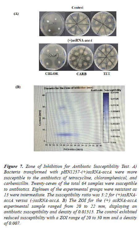 microbiology-current-research-antibiotic