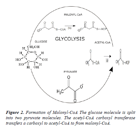 microbiology-current-research-molecule