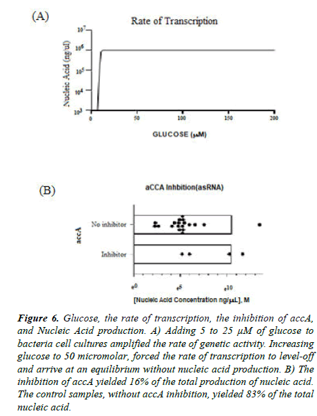 microbiology-current-research-nucleic