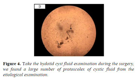 microbiology-etiological-examination