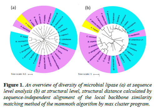 microbiology-overview-diversity