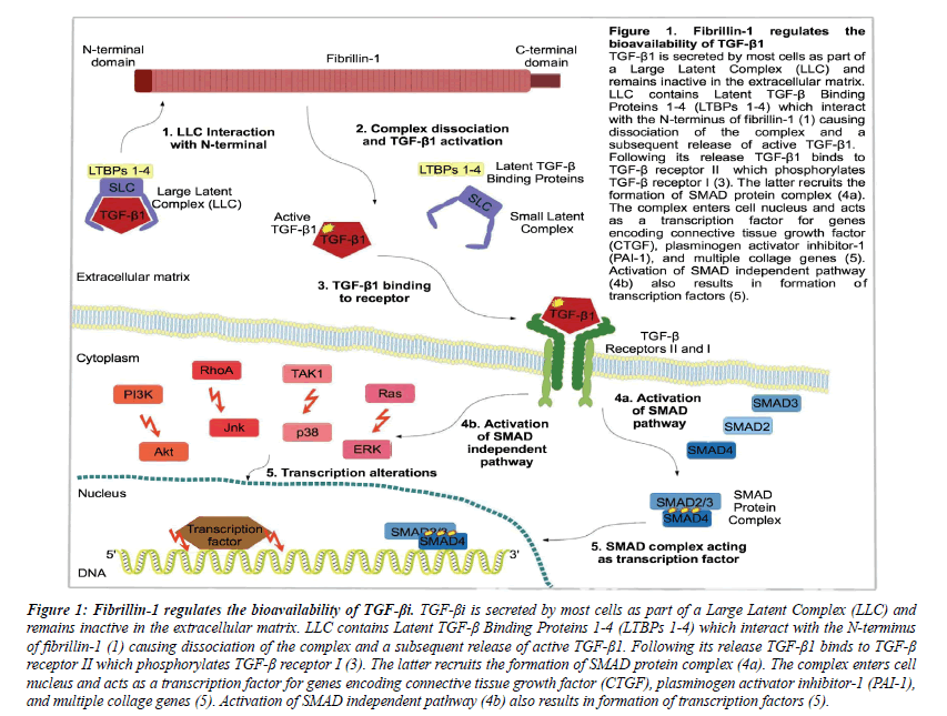 molecular-medicine-therapy-bioavailability