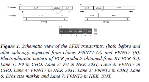 molecular-medicine-therapy-electrophoretic