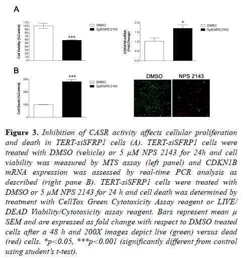 molecular-oncology-Green-Cytotoxicity