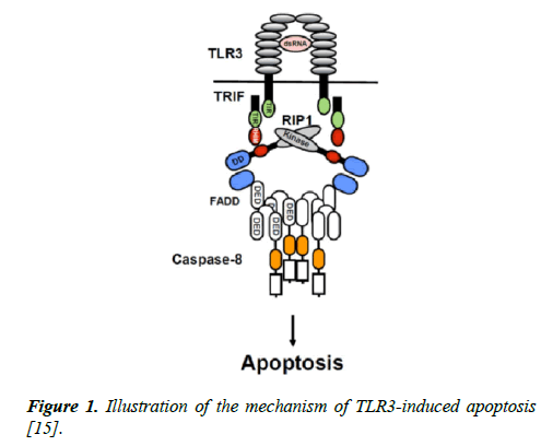 molecular-oncology-Illustration-mechanism