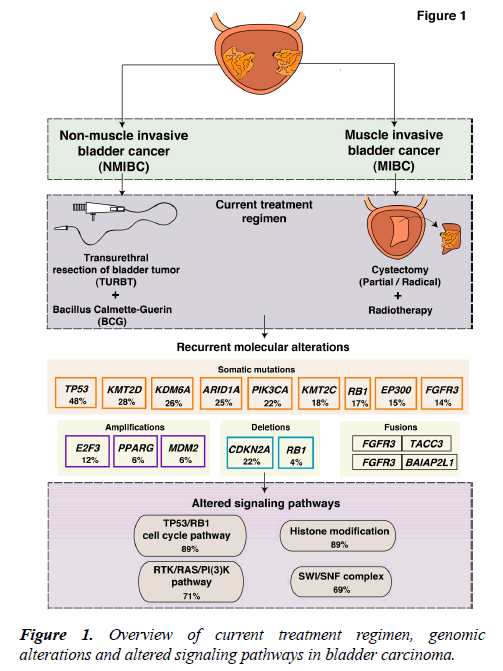 molecular-oncology-Overview-current