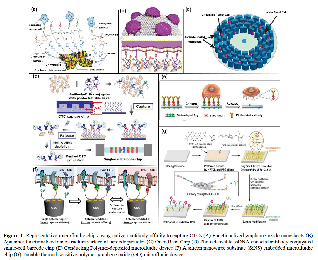 molecular-oncology-Representative-microfluidic