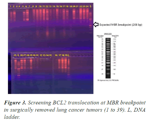 molecular-oncology-breakpoint